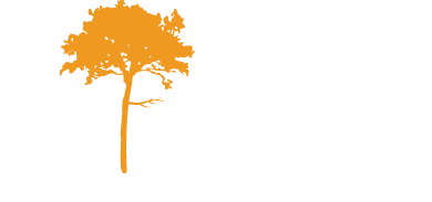 Martins Créations